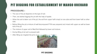 PIT DIGGING FOR ESTABLISHMENT OF MANGO ORCHARD
PROCEDURE:-
• The size of the pit depends on the type of soil.
• Then, we started digging the pit with the help of spade.
• When the soil is taken out of the pit, the soil from upper half is kept on one side and from lower half on other
side.
• Before filling the pit a mixture of well decomposed FYM was prepared and mixed with upper as well as lower
soil of the pit.
• The mixture of upper soil is filled first followed by lower soil mixture.
• During filling of pit soil is pressed well.
• After filling we irrigated the pit to settle down the soil of the pit.
PIT DIGGING
 