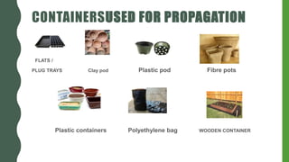 CONTAINERSUSED FOR PROPAGATION
FLATS /
PLUG TRAYS Clay pod Plastic pod Fibre pots
Plastic containers Polyethylene bag WOODEN CONTAINER
 