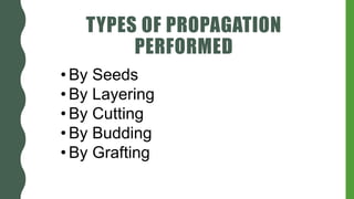 TYPES OF PROPAGATION
PERFORMED
• By Seeds
• By Layering
• By Cutting
• By Budding
• By Grafting
 
