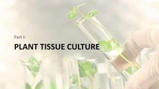 Introduction to: Plant Tissue Culture | PPTX