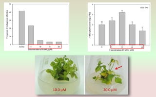 Advances in Plant tissue culture | PPTX