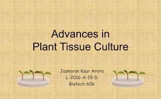 Advances in
Plant Tissue Culture
Jaskaran Kaur Arora
L-2016-A-19-D
Biotech 606
 