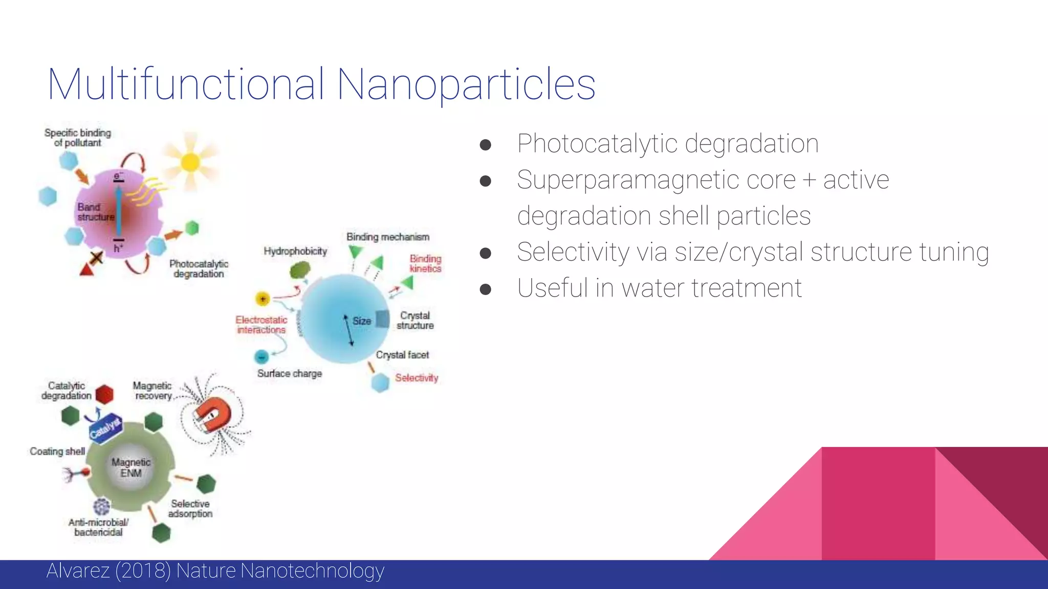 Multifunctional Nanoparticles
● Photocatalytic degradation
● Superparamagnetic core + active
degradation shell particles
● Selectivity via size/crystal structure tuning
● Useful in water treatment
Alvarez (2018) Nature Nanotechnology
 