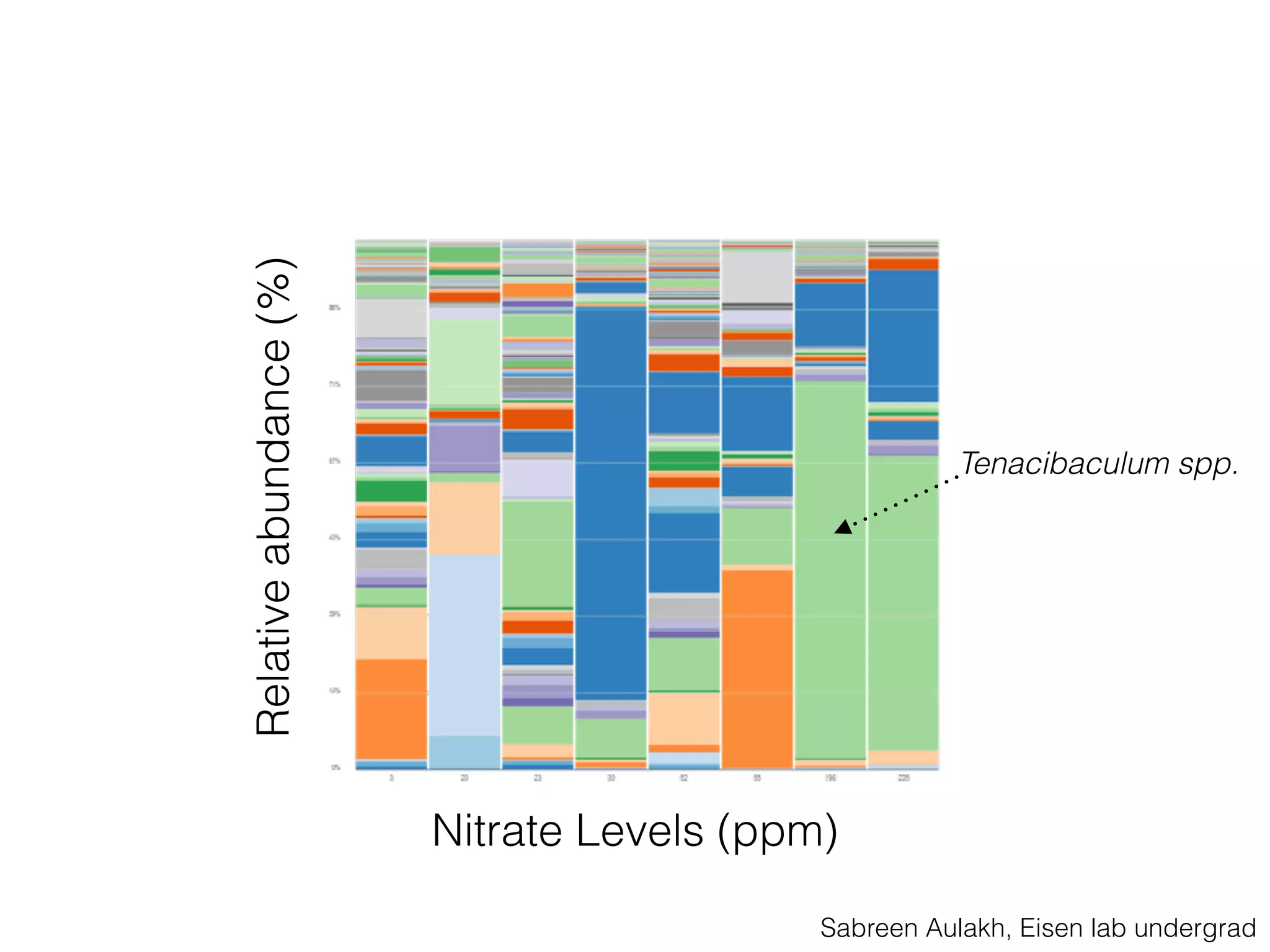 Nitrate Levels (ppm)
Relativeabundance(%)
Tenacibaculum spp.
Sabreen Aulakh, Eisen lab undergrad
 