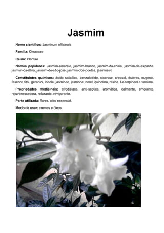 Jasmim<br />Nome científico: Jasminum officinale<br />Família: Oleaceae<br />Reino: Plantae<br />Nomes populares: Jasmim-amarelo, jasmim-branco, jasmim-da-china, jasmim-da-espanha, jasmim-da-itália, jasmim-de-são-josé, jasmim-dos-poetas, jasmineiro<br />Constituintes químicos: ácido salicílico, benzaldeído, cicerose, creosol, ésteres, eugenol, fasenol, fitol, geraniol, índole, jasmíneo, jasmone, nerol, quinolina, resina, l-a-terpineol e vanilina.<br />Propriedades medicinais: afrodisíaca, anti-séptica, aromática, calmante, emoliente, rejuvenescedora, relaxante, revigorante.<br />Parte utilizada: flores, óleo essencial.<br />Modo de usar: cremes e óleos.<br />As flores são tubulares, com pétalas patentes, raramente maiores do que dois centímetros de diâmetro, que possuem um aroma adocicado. Quase todas as espécies possuem flores brancas, mas há algumas de flores amarelas ou rosadas. Suas flores são conhecidas pelo doce perfume que exalam.<br />O jasmim é perfeito para jardins românticos e clássicos, sua folhagem e florescimento são de uma beleza delicada e seu perfume suave aguça os sentidos. Indicada para cobrir caramanchões, colunas, pórticos, muros, treliças e grades, deve-se aproveitá-la em locais de tráfego ou descanso que permitem aproveitar seu perfume. A floração pode ocorrer no outono, inverno ou primavera de acordo com o clima. <br />Folha do jasmim:<br />-535568-626679<br />A folha do jasmim é utilizada para fazer diversos tipos de chás medicinais antidepressivos.<br />O caule do jasmim apresenta a casca do tipo rugoso, ou seja, pois sua superfície é acidentada, formada por anéis horizontais predominantes.<br />Sua base é reta, sem expansões.<br /> <br />Alunas;2º F:    Dayane Alves de Oliveira                                                             <br />                        Kassia Orleia de Souza Silveira<br />                        Viviane Keli Matoso<br /> <br />                                                                                                                                                   <br />                                                                                                        <br />
