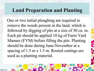 Land Preparation and Planting
One or two initial ploughing are required to
remove the weeds present in the land, which is
...
