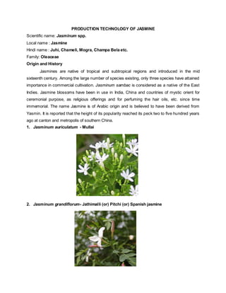PRODUCTION TECHNOLOGY OF JASMINE
Scientific name: Jasminum spp.
Local name : Jasmine
Hindi name : Juhi, Chameli, Mogra, Champa Bela etc.
Family: Oleaceae
Origin and History
Jasmines are native of tropical and subtropical regions and introduced in the mid
sixteenth century. Among the large number of species existing, only three species have attained
importance in commercial cultivation. Jasminum sambac is considered as a native of the East
Indies. Jasmine blossoms have been in use in India, China and countries of mystic orient for
ceremonial purpose, as religious offerings and for perfuming the hair oils, etc. since time
immemorial. The name Jasmine is of Arabic origin and is believed to have been derived from
Yasmin. It is reported that the height of its popularity reached its peck two to five hundred years
ago at canton and metropolis of southern China.
1. Jasminum auriculatum - Mullai
2. Jasminum grandiflorum- Jathimalli (or) Pitchi (or) Spanish jasmine
 