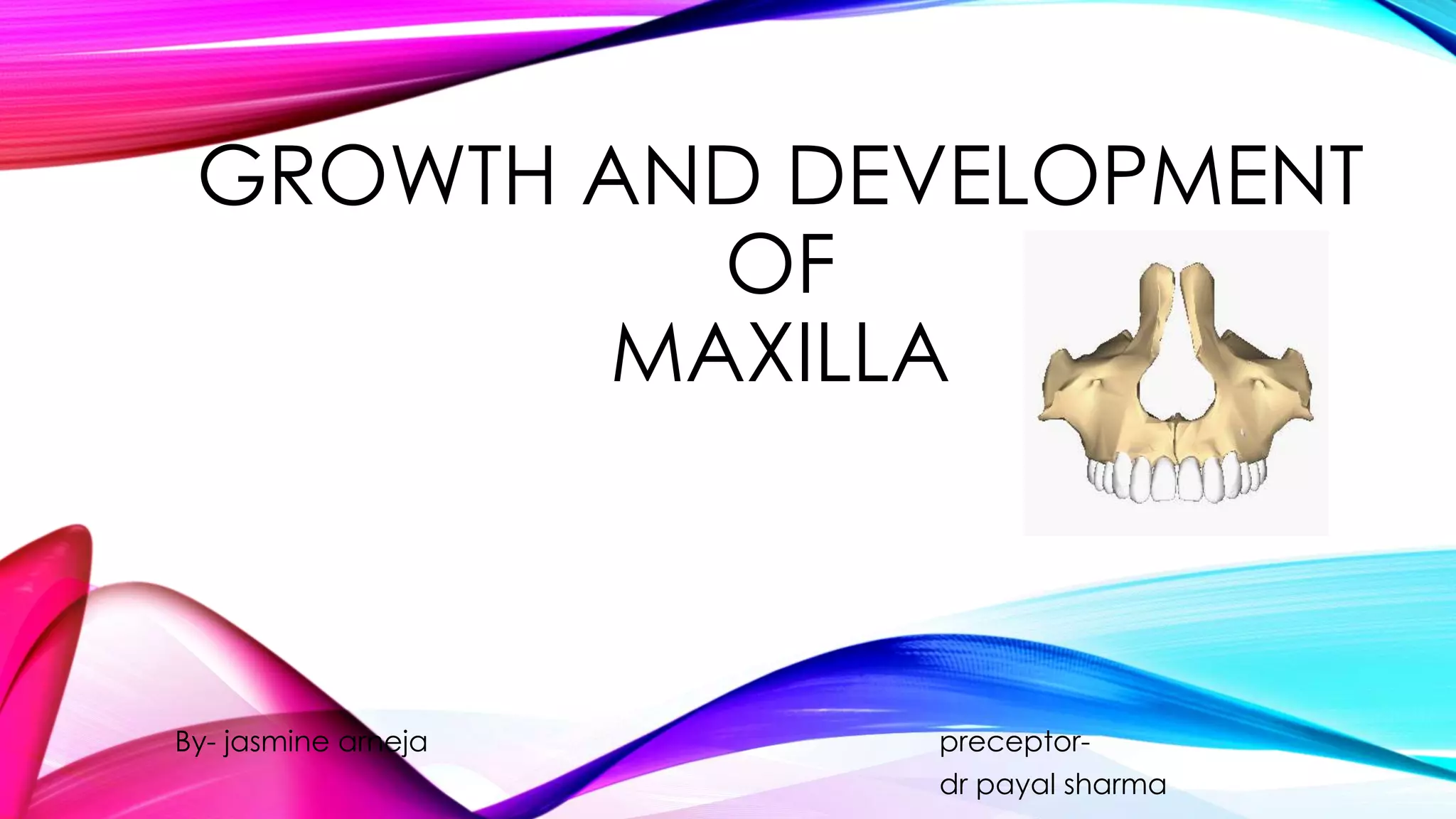 GROWTH AND DEVELOPMENT 
OF 
MAXILLA 
By- jasmine arneja preceptor-dr 
payal sharma 
 
