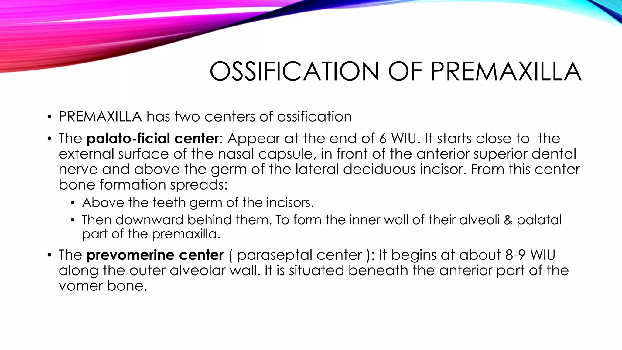 OSSIFICATION OF PREMAXILLA 
• PREMAXILLA has two centers of ossification 
• The palato-ficial center: Appear at the end of 6 WIU. It starts close to the 
external surface of the nasal capsule, in front of the anterior superior dental 
nerve and above the germ of the lateral deciduous incisor. From this center 
bone formation spreads: 
• Above the teeth germ of the incisors. 
• Then downward behind them. To form the inner wall of their alveoli & palatal 
part of the premaxilla. 
• The prevomerine center ( paraseptal center ): It begins at about 8-9 WIU 
along the outer alveolar wall. It is situated beneath the anterior part of the 
vomer bone. 
 