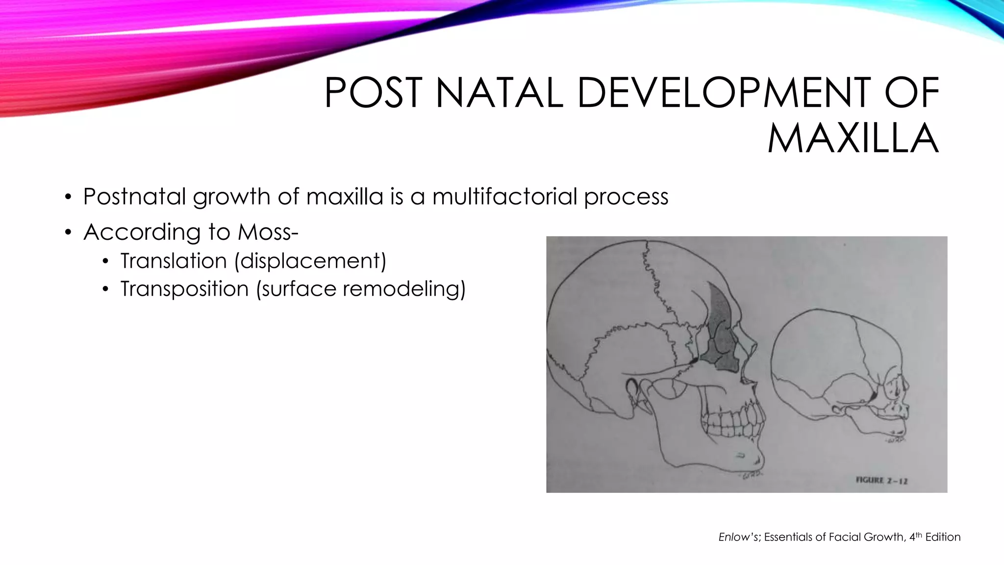 POST NATAL DEVELOPMENT OF 
MAXILLA 
• Postnatal growth of maxilla is a multifactorial process 
• According to Moss- 
• Translation (displacement) 
• Transposition (surface remodeling) 
Enlow’s; Essentials of Facial Growth, 4th Edition 
 