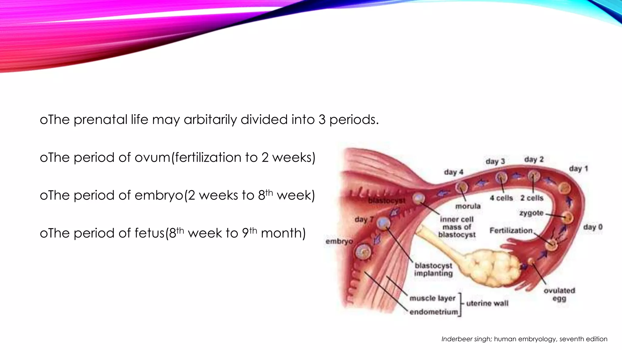 oThe prenatal life may arbitarily divided into 3 periods. 
oThe period of ovum(fertilization to 2 weeks) 
oThe period of embryo(2 weeks to 8th week) 
oThe period of fetus(8th week to 9th month) 
Inderbeer singh; human embryology, seventh edition 
 