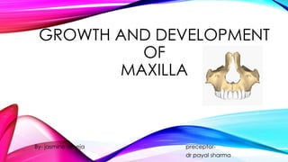 GROWTH AND DEVELOPMENT 
OF 
MAXILLA 
By- jasmine arneja preceptor-dr 
payal sharma 
 