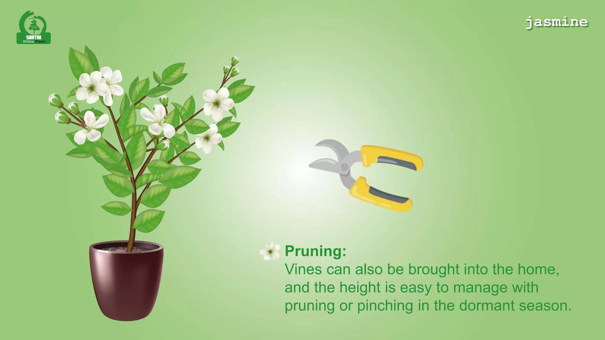 jasmineページ jasmine | PPTX