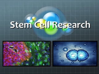 Stem Cell Research

 