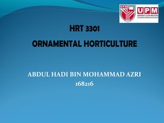 HRT 3301 
ORNAMENTAL HORTICULTURE 
ABDUL HADI BIN MOHAMMAD AZRI 
168216 
 