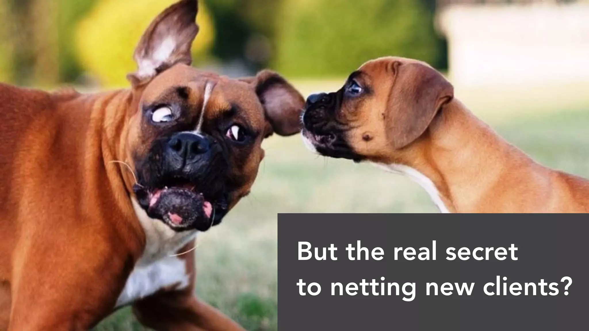 But the real secret
to netting new clients?
 