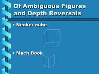 Exploring Visual Illusions: Perspective, Depth, and Perception Theories ...