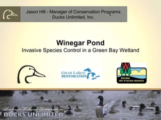 Winegar Pond Invasive Species Control in a Green Bay Wetland Jason Hill - Manager of Conservation Programs Ducks Unlimited, Inc. 