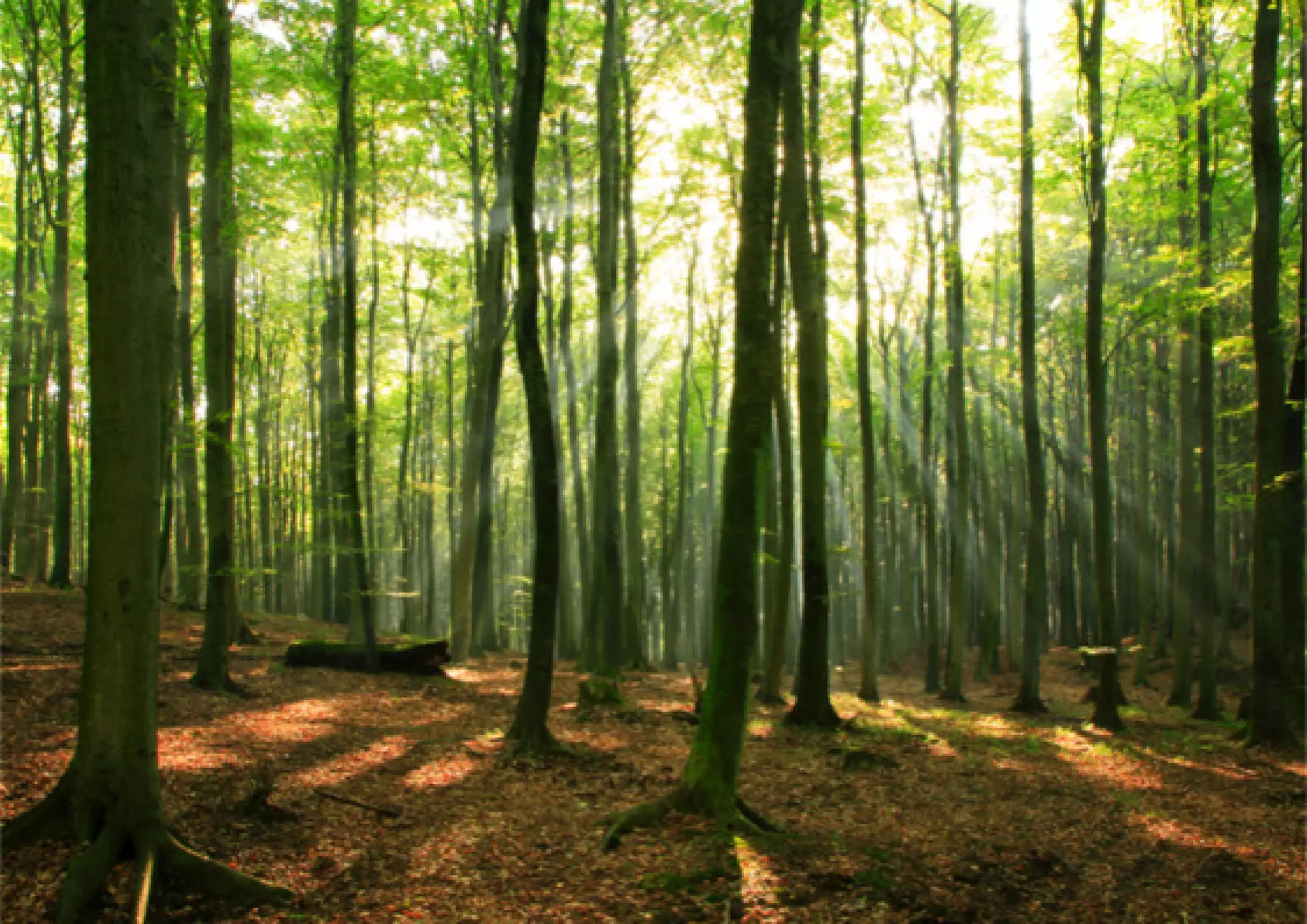 デザインの裏のデザインの裏のデザイン | 2014 | ジェイソン・ホブス | +27 72 260 5478 | JASON@HUMANEXPERIENCEDESIGN.NET | WWW.HUMANEXPERIENCEDESIGN.NET
58
 