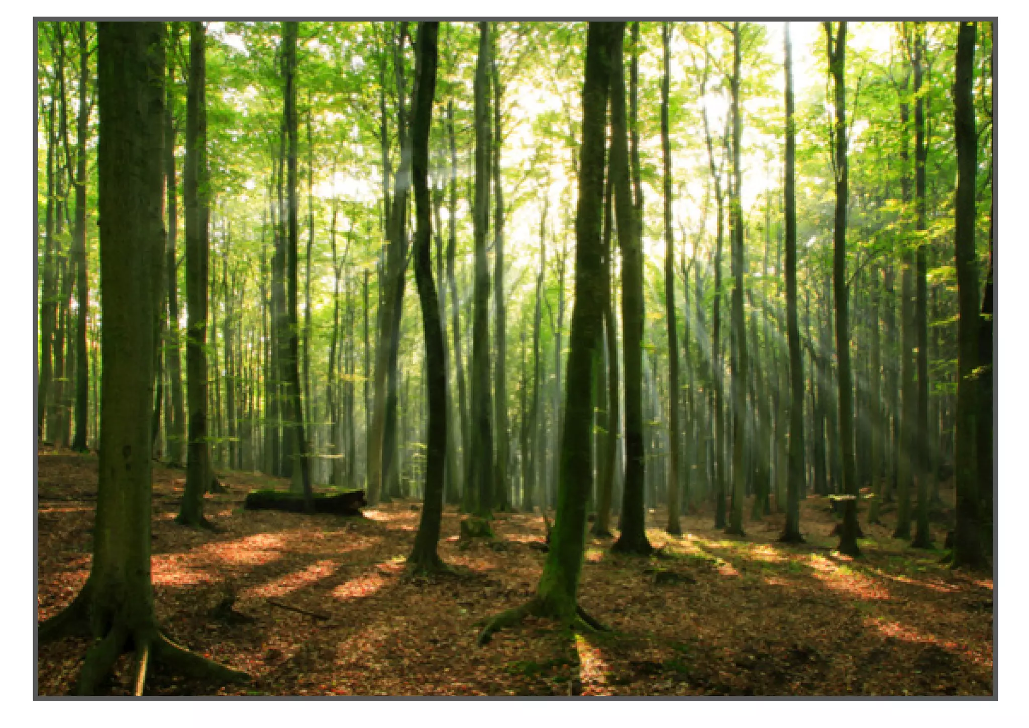 デザインの裏のデザインの裏のデザイン | 2014 | ジェイソン・ホブス | +27 72 260 5478 | JASON@HUMANEXPERIENCEDESIGN.NET | WWW.HUMANEXPERIENCEDESIGN.NET
 