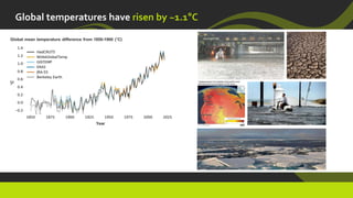 Global temperatures have risen by ~1.1°C
 