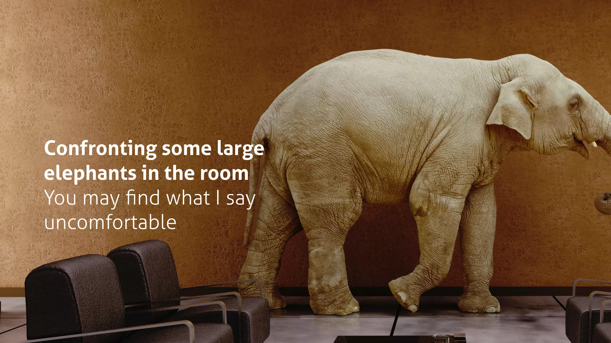Confronting some large
elephants in the room
You may ﬁnd what I say
uncomfortable
 