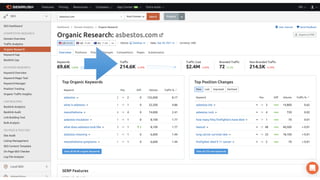 Law Firm SEO: Exposing the Google Algorithm
