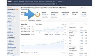 Law Firm SEO: Exposing the Google Algorithm