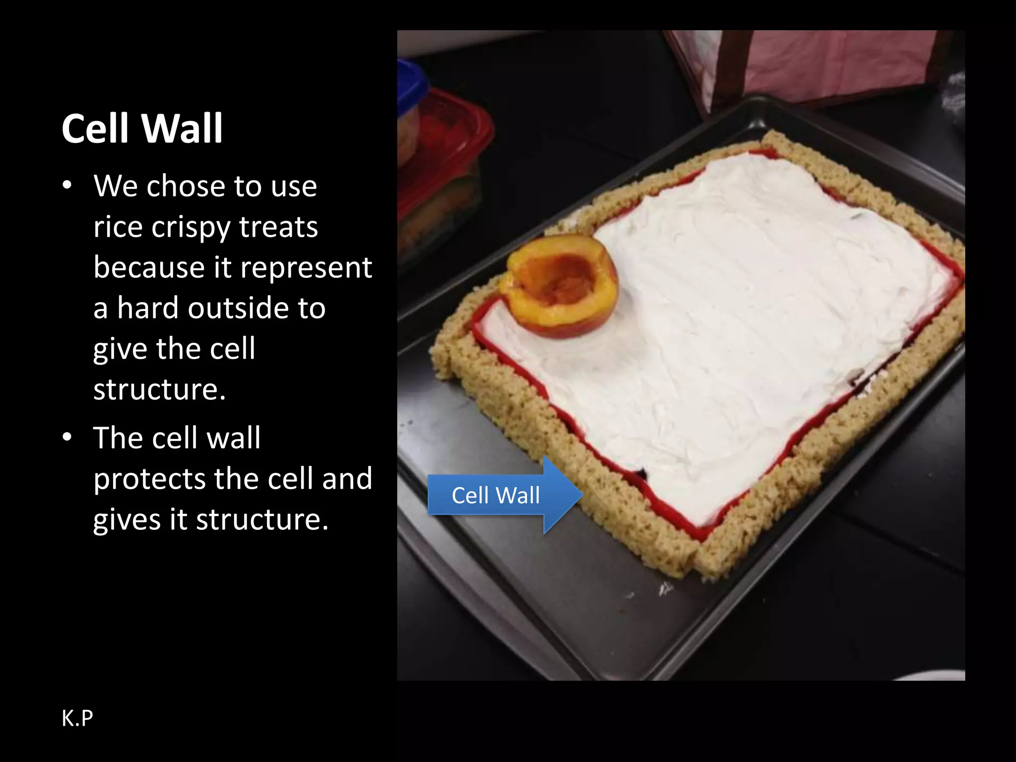 Jasons Edible Cellmodel Pptx
