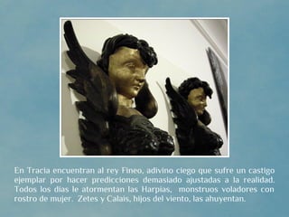 En Tracia encuentran al rey Fineo, adivino ciego que sufre un castigo
ejemplar por hacer predicciones demasiado ajustadas a la realidad.
Todos los días le atormentan las Harpías, monstruos voladores con
rostro de mujer. Zetes y Calais, hijos del viento, las ahuyentan.
 