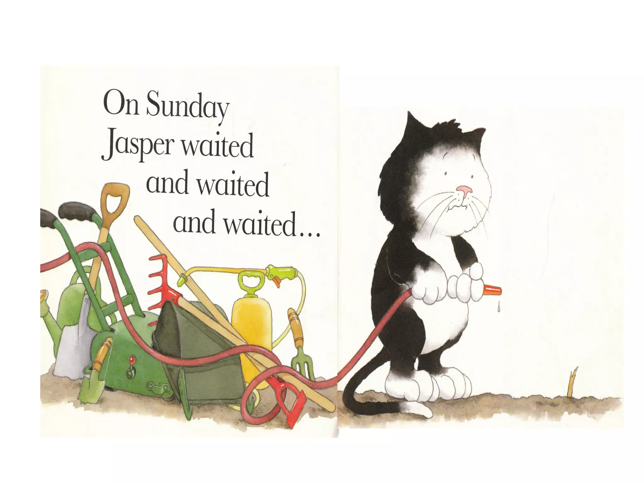 Jaspers beanstalk[1] | PPT