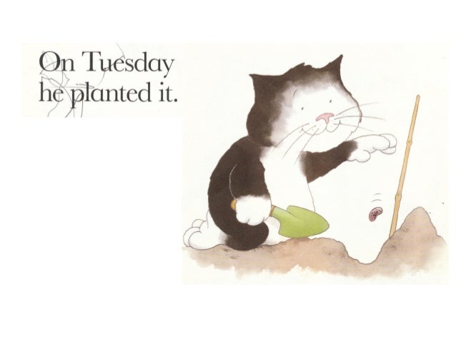 Jaspers beanstalk[1]