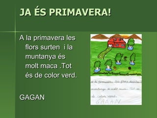 JA ÉS PRIMAVERA! A la primavera les  flors surten  i la muntanya és molt maca .Tot és de color verd.  GAGAN 