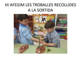 HI AFEGIM LES TROBALLES RECOLLIDES
A LA SORTIDA
