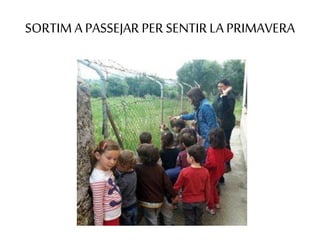 SORTIM A PASSEJAR PER SENTIRLA PRIMAVERA
