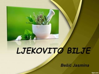 LJEKOVITO BILJE
Bešić Jasmina
 