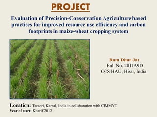 PROJECT
Evaluation of Precision-Conservation Agriculture based
practices for improved resource use efficiency and carbon
footprints in maize-wheat cropping system

Ram Dhan Jat
Enl. No. 2011A9D
CCS HAU, Hisar, India

Location: Taraori, Karnal, India in collaboration with CIMMYT
Year of start: Kharif 2012

 