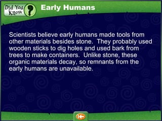 Scientists believe early humans made tools from other materials besides stone.  They probably used wooden sticks to dig holes and used bark from trees to make containers.  Unlike stone, these organic materials decay, so remnants from the early humans are unavailable.  Early Humans 