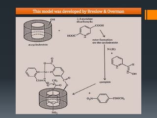 This model was developed by Breslow & Overman
 