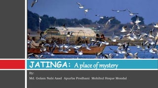 By:
Md. Golam Nabi Azad Apurba Prodhani Mohibul Hoque Mondal
JATINGA: A place of mystery
 
