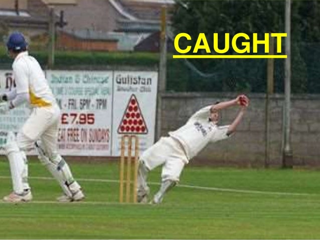 Dismissal Of Cricket PPT dismissal-of-cricket-ppt