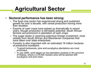 Agricultural Sector Sectoral performance has been strong: The food crop sector has experienced strong and sustained growth for over a decade, with cereal production having more than doubled. Exports of cash crops have picked up dramatically in recent years, though production is still below potential. South African farmers are prominent in plantation of cash crops. The sugar sector is receiving extensive foreign investment, most notably from South African and Mauritanian companies that have taken over state enterprises. Forestry is also important with an estimated 19 million hectares of productive woodland.  Tropical hardwoods, pine and eucalyptus plantations are most prominent. In July 2006, work began on two plantation projects in the province of Niassa, where a 210,000 hectare area will be planted with eucalyptus and pine trees.   