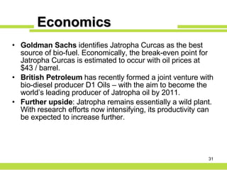 Economics Goldman Sachs  identifies Jatropha Curcas as the best source of bio-fuel. Economically, the break-even point for Jatropha Curcas is estimated to occur with oil prices at $43 / barrel. British Petroleum  has recently formed a joint venture with bio-diesel producer D1 Oils – with the aim to become the world’s leading producer of Jatropha oil by 2011.  Further upside : Jatropha remains essentially a wild plant. With research efforts now intensifying, its productivity can be expected to increase further. 