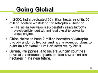 Going Global In 2006, India dedicated 30 million hectares of its 60 million hectare wasteland for Jatropha cultivation. The Indian Railways is successfully using Jatropha bio-diesel blended with mineral diesel to power its diesel engines. China claims to have 2 million hectares of Jatropha already under cultivation and has announced plans to plant an additional 11 million hectares by 2010. Burma, Philippines, and several African countries have also announced plans to plant several million hectares in the near future. 