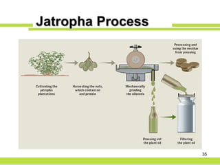 Jatropha Process 