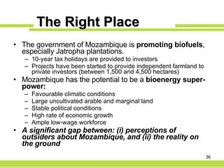 The Right Place The government of Mozambique is  promoting biofuels , especially Jatropha plantations. 10-year tax holidays are provided to investors Projects have been started to provide independent farmland to private investors (between 1,500 and 4,500 hectares) Mozambique has the potential to be a  bioenergy super-power: Favourable climatic conditions Large uncultivated arable and marginal land Stable political conditions High rate of economic growth Ample low-wage workforce A significant gap between: (i) perceptions of outsiders about Mozambique, and (ii) the reality on the ground 