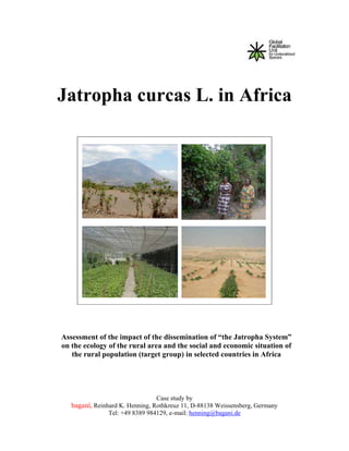 Jatropha curcas L. in Africa




Assessment of the impact of the dissemination of “the Jatropha System”
on the ecology of the rural area and the social and economic situation of
   the rural population (target group) in selected countries in Africa




                                 Case study by
   baganí, Reinhard K. Henning, Rothkreuz 11, D-88138 Weissensberg, Germany
                Tel: +49 8389 984129, e-mail: henning@bagani.de
 