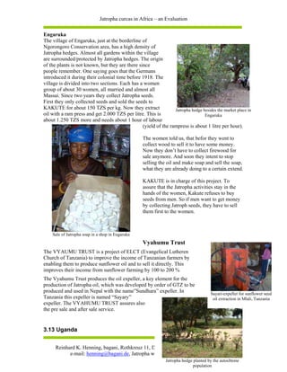 Jatropha curcas in Africa – an Evaluation

Engaruka
The village of Engaruka, just at the borderline of
Ngorongoro Conservation area, has a high density of
Jatropha hedges. Almost all gardens within the village
are surrounded/protected by Jatropha hedges. The origin
of the plants is not known, but they are there since
people remember. One saying goes that the Germans
introduced it during their colonial time before 1918. The
village is divided into two sections. Each has a women
group of about 30 women, all married and almost all
Massai. Since two years they collect Jatropha seeds.
First they only collected seeds and sold the seeds to
KAKUTE for about 150 TZS per kg. Now they extract                Jatropha hedge besides the market place in
oil with a ram press and get 2.000 TZS per litre. This is                        Engaruka
about 1.250 TZS more and needs about 1 hour of labour
                                                 (yield of the rampress is about 1 litre per hour).

                                                   The women told us, that befor they went to
                                                   collect wood to sell it to have some money.
                                                   Now they don’t have to collect firewood for
                                                   sale anymore. And soon they intent to stop
                                                   selling the oil and make soap and sell the soap,
                                                   what they are already doing to a certain extend.

                                                   KAKUTE is in charge of this project. To
                                                   assure that the Jatropha activities stay in the
                                                   hands of the women, Kakute refuses to buy
                                                   seeds from men. So if men want to get money
                                                   by collecting Jatroph seeds, they have to sell
                                                   them first to the women.



    Sale of Jatropha soap in a shop in Engaruka
                                                   Vyahumu Trust
The VYAUMU TRUST is a project of ELCT (Evangelical Lutheren
Church of Tanzania) to improve the income of Tanzanian farmers by
enabling them to produce sunflower oil and to sell it directly. This
improves their income from sunflower farming by 100 to 200 %
The Vyahumu Trust produces the oil expeller, a key element for the
production of Jatropha oil, which was developed by order of GTZ to be
produced and used in Nepal with the name”Sundhara” expeller. In                        Sayari-expeller for sunflower seed
Tanzania this expeller is named “Sayary”                                                oil extraction in Mlali, Tanzania
expeller. The VYAHUMU TRUST assures also
the pre sale and after sale service.


3.13 Uganda

                                                                                                      12
      Reinhard K. Henning, bagani, Rothkreuz 11, D-88138 Weissensberg, Germany
            e-mail: henning@bagani.de, Jatropha website: www.Jatropha.org
                                                               Jatropha hedge planted by the autochtone
                                                                             population
 