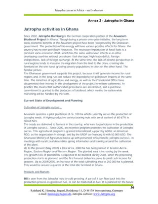 Jatropha curcas in Africa – an Evaluation


                                                      Annex 2 - Jatropha in Ghana

Jatropha activities in Ghana
Since 2002, Jatropha Hamburg is the German cooperation partner of the Anuanom
Biodiesel Project in Ghana. Though being a private enterprise initiative, the long-term
socio-economic benefits of the Anuanom project have been recognised by the Ghanaean
government. The production of bio-energy will have various positive effects for Ghana: the
country has no own petroleum resources. The necessary importation of fossil fuels is a
constant socio-economic effort, which has the same well-known effects as in other
developing countries without petroleum: fuel shortage, high trade deficit, foreign
indeptedness, lack of foreign exchange. At the same time, the lack of income perspectives in
rural regions tends to increase the migration from the land to the cities, creating idle
farmland on the one hand, growing poverty populations in cities on the other hand. The
familiar picture.
The Ghanaean government supports this project, because it will generate income for rural
regions and, in the long run, will reduce the dependency on petroleum imports at the same
time. The ministries of agriculture and energy, as well as the Presidential Office have
documented their interest in the development of the project in written statements. In
practice this means that authorization procedures are accelerated, and a purchase
commitment is granted to the producers of biodiesel, which means the nation-wide
marketing will be handled by the state.

Current State of Development and Planning

Cultivation of Jatropha curcas L.

Anuanom operates a pilot plantation of ca. 100 ha which currently serves the production of
Jatropha seeds. A highly productive variety bearing nuts with an oil content of 60-67% is
raised here.
The seeds are delivered to farmers in the country, who want to participate in the production
of Jatropha curcas L.. Since 2000, an incentive program promotes the cultivation of Jatropha
curcas. This agricultural program is granted international support by ADRA, an American
NGO, as the organization in charge, and by the UNDP co-financing it with 50.000 USD. The
Ghanaean Ministry of Agriculture backs up with personnel who promote Jatropha curcas L. in
meetings with rural Local Assemblies giving information and training around the cultivation
of the plant.
Up to the present (May 2002) a total of ca. 2000 ha has been planted in Greater-Accra-
Region, Eastern Region and Western Region. The planted area is increasing by the week.
The growth rate of plantations is expected to be boosted during 2003, when the processing
production starts as planned, and the first harvest deliveries prove to yield cash income for
growers. Up to 2004/2005, an increase of the total cultivating area to 250.000 ha is planned.
This would be around a quarter of the total idle farmland in Ghana.

Products and Markets

Oil is won from the Jatropha nuts by cold-pressing. A part of it can flow back into the
production process as generator fuel, or can be marketed as fuel. It is planned for the future

                                                                                           30
     Reinhard K. Henning, bagani, Rothkreuz 11, D-88138 Weissensberg, Germany
           e-mail: henning@bagani.de, Jatropha website: www.Jatropha.org
 