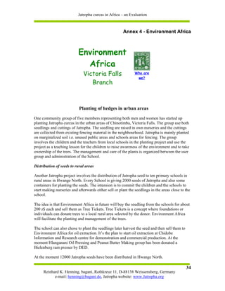 Jatropha curcas in Africa – an Evaluation



                                                        Annex 4 - Environment Africa



                           Environment
                             Africa
                              Victoria Falls                   Who are
                                                                we?
                                 Branch



                            Planting of hedges in urban areas

One community group of five members representing both men and women has started up
planting Jatropha curcas in the urban areas of Chinotimba, Victoria Falls. The group use both
seedlings and cuttings of Jatropha. The seedling are raised in own nurseries and the cuttings
are collected from existing fencing material in the neighbourhood. Jatropha is mainly planted
on marginalized soil i.e. unused public areas and schools areas for fencing. The group
involves the children and the teachers from local schools in the planting project and use the
project as a teaching lesson for the children to raise awareness of the environment and to take
ownership of the trees. The management and care of the plants is organized between the user
group and administration of the School.

Distribution of seeds to rural areas

Another Jatropha project involves the distribution of Jatropha seed to ten primary schools in
rural areas in Hwange North. Every School is giving 2000 seeds of Jatropha and also some
containers for planting the seeds. The intension is to commit the children and the schools to
start making nurseries and afterwards either sell or plant the seedlings in the areas close to the
school.

The idea is that Environment Africa in future will buy the seedling from the schools for about
200 z$ each and sell them as Tree Tickets. Tree Tickets is a concept where foundations or
individuals can donate trees to a local rural area selected by the donor. Environment Africa
will facilitate the planting and management of the trees.

The school can also chose to plant the seedlings later harvest the seed and then sell them to
Environment Africa for oil extraction. It’s the plan to start oil extraction at Chidobe
Information and Research centre for demonstration and commercial production. At the
moment Hlanganani Oil Pressing and Peanut Butter Making group has been donated a
Bielenberg ram presser by DED.

At the moment 12000 Jatropha seeds have been distributed in Hwange North.

                                                                                                34
     Reinhard K. Henning, bagani, Rothkreuz 11, D-88138 Weissensberg, Germany
           e-mail: henning@bagani.de, Jatropha website: www.Jatropha.org
 